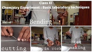 Basic laboratory techniques । class 11 chemistry practical