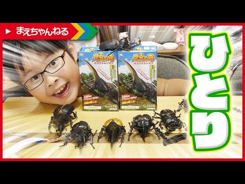 えいしんのひとりレビュー 寸劇 4回目 昆虫の森 大カブトムシ祭り を開封 まえちゃんねる
