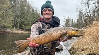 Brown Trout Fishing in the Winter   Brown Trout, Lake Runs, Rainbow Trout