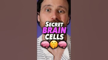 Your Secret Brain Cells For Cognitive Function #longevity