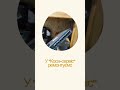 #РемонтЕлектроніки #Автомагнітола #РемонтМагнітоли #ІнтернетСвітч #РемонтМережі  #РемонтТехніки