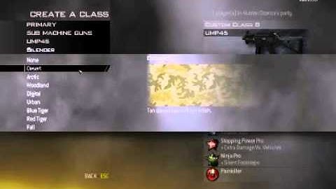 How To Make The Best Stealth Class [MW2]