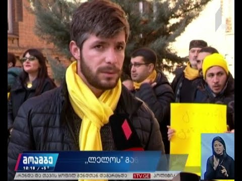 „ლელო“ განათლების რეფორმის აუცილებლობაზე საუბრობს