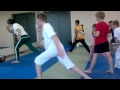 Capoeira Salaspils