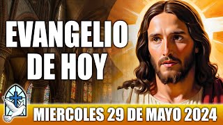 Evangelio De Hoy MIERCOLES 29 De MAYO 2024 ORACION Y REFLEXION Santo Evangelio Del Día De Hoy