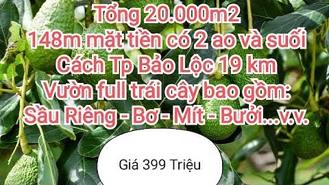 Bán vườn giá rẻ 20.000m2 giá 399tr tại Tp Bảo Lộc