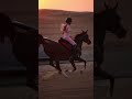 Arabian horse VS Lamborghini in Dubai 🏎️🔥😍