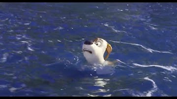 PETS 2 MAX WAS CLOSE TO DROWNING | SPONSORED BY PREVIEW 2 MOKOU DEEPFAKE (ILVOCODEX)