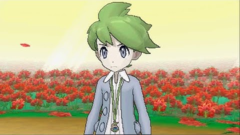 Pokemon Omega Ruby - Wally Battle