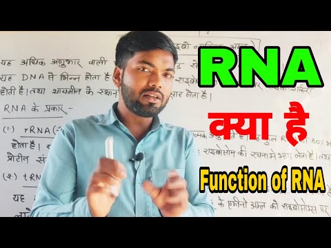 वीडियो: RNA को संश्लेषित करने का क्या अर्थ है?
