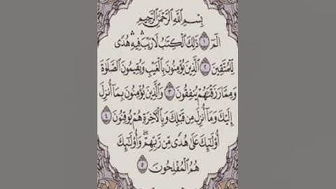 صفحة 2 القارئ الشيخ محمد صديق المنشاوي