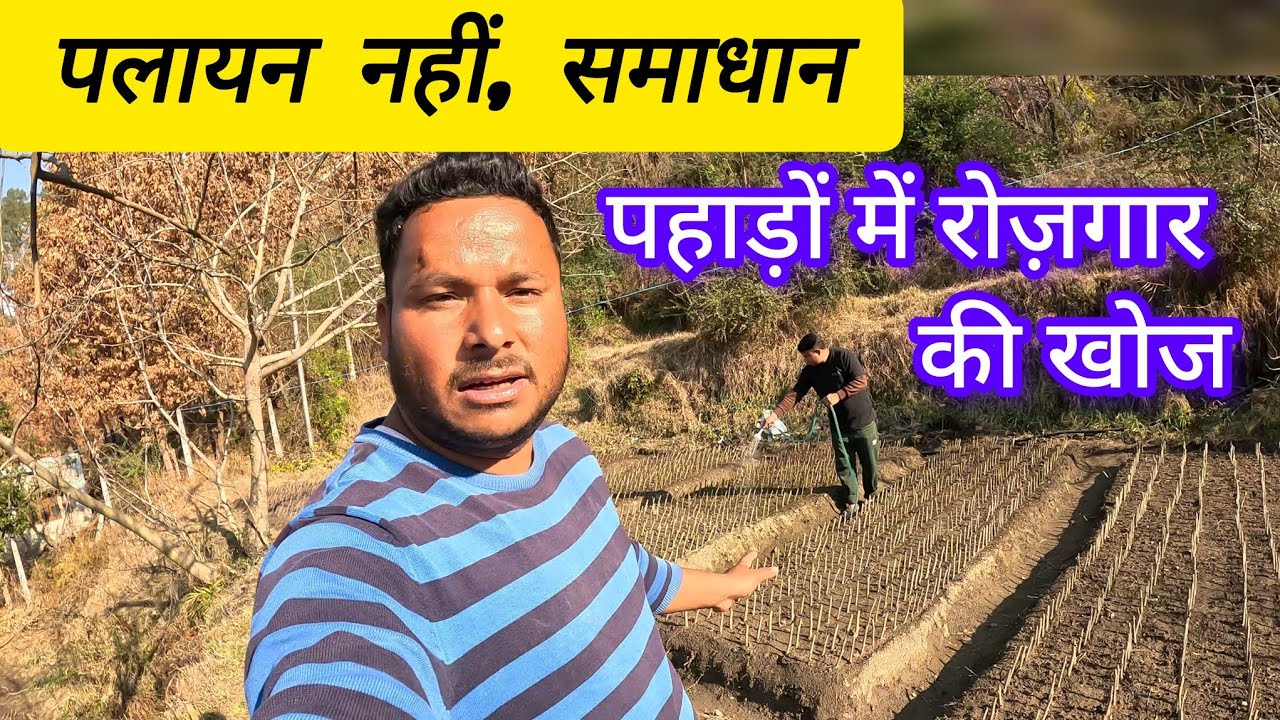पलायन नहीं, समाधान: पहाड़ों में रोज़गार की खोज || #phadilifestyle #narendrauk11vlogs #dailyvideo