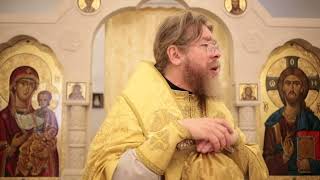 видео: БОГ ПРИШЁЛ НАС СПАСТИ ОТ БЕЗУМИЯ И СМЕРТИ картинка: БОГ ПРИШЁЛ НАС СПАСТИ ОТ БЕЗУМИЯ И СМЕРТИ