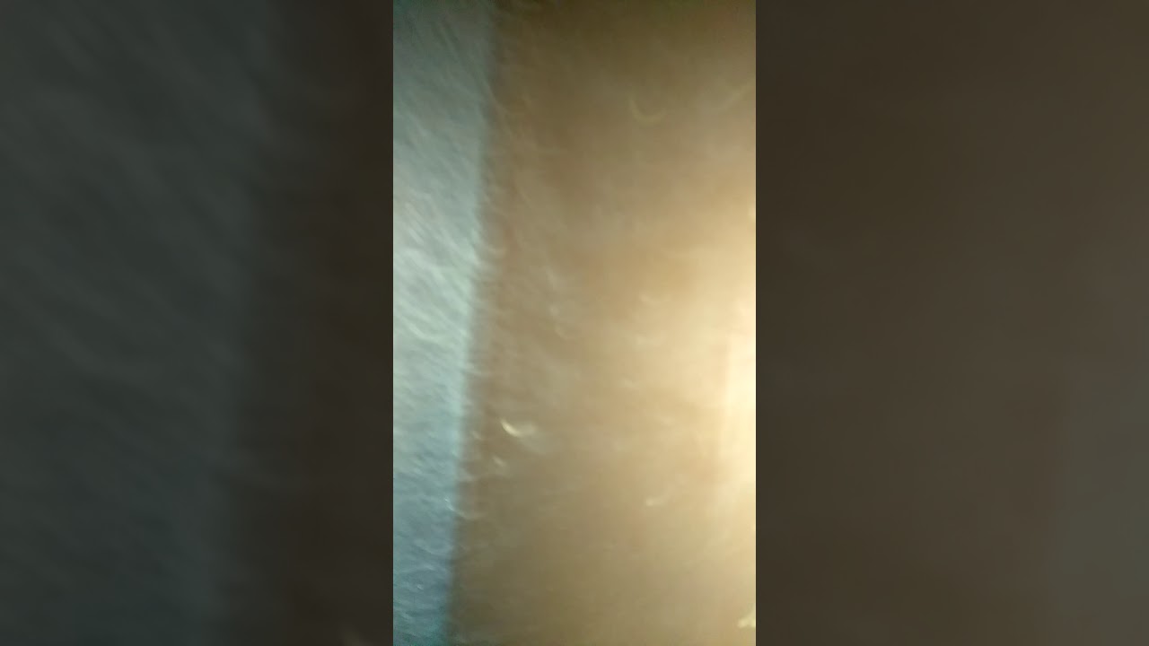 He is a handsome little focker