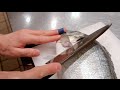 Graphic  how to fillet a fish  sea bream  japanese technique  