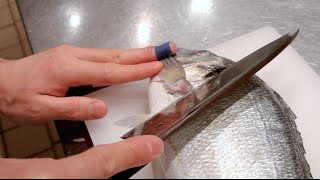 GRAPHIC - How to fillet a fish - Sea bream - Japanese technique - クロダイのさばき方