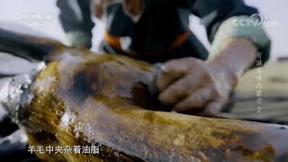 内蒙古人能把一只羊做成多少种吃法《有滋有味内蒙古》第2集【CCTV纪录】