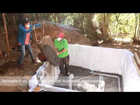 Video: Depurador De Madera