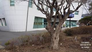 DJI MINI2 20210319-10 by rockgo