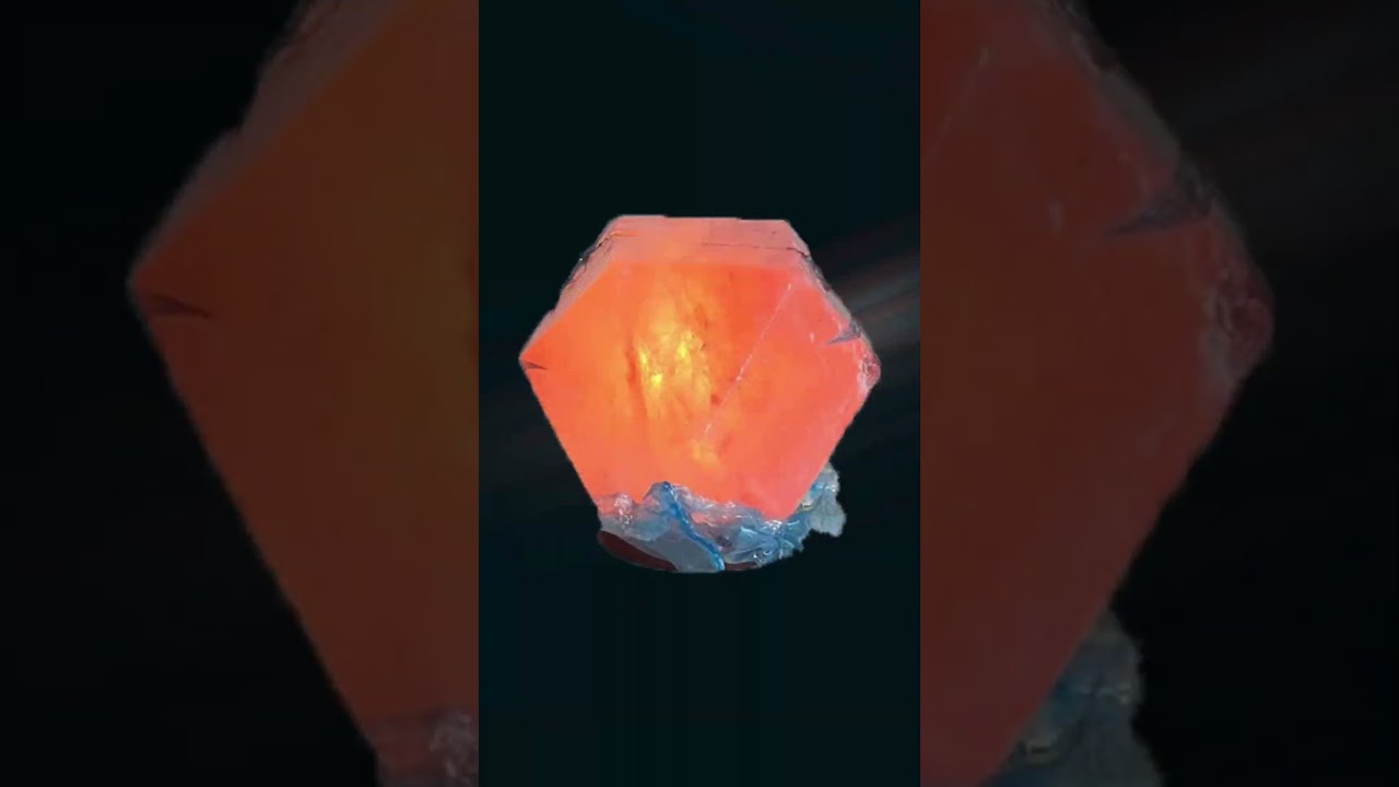 One plant only in 250 AED pink salt lamp gift 