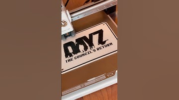 The Council’s Return #dayz #3dprinting