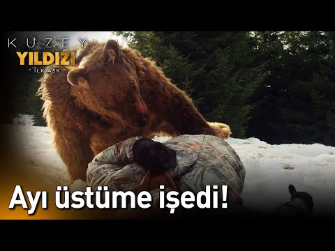 Ayı Üstüme İşedi!😲😅 - Kuzey Yıldızı İlk Aşk