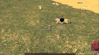 Mabinogi Lance Charge Bug