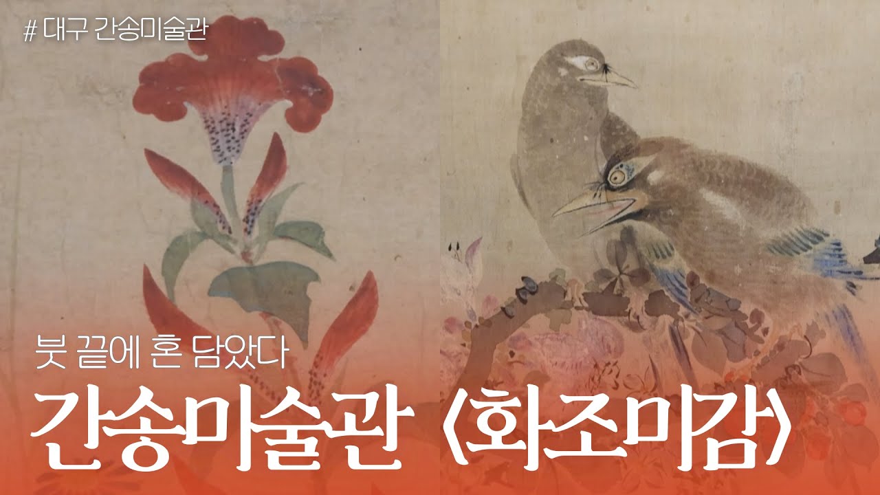[문화요] 243회 대구간송미술관 상반기 기획전 '화조미감' 전