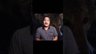 आपका पालतू कुत्ता है भेड़िये का बच्चा 😳 #shorts #ytshorts #dogs