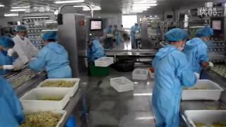 Automatic stretch film vacuum food packaging machine