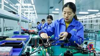 Chinese Womans Plea For Help Killing Pigs Draws Thousands To Her Village