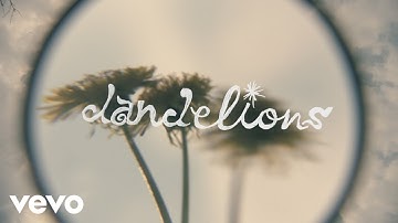 Whitney - Dandelions (Official Video)