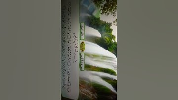 سورة الكافرون الشيخ خالد الجليل