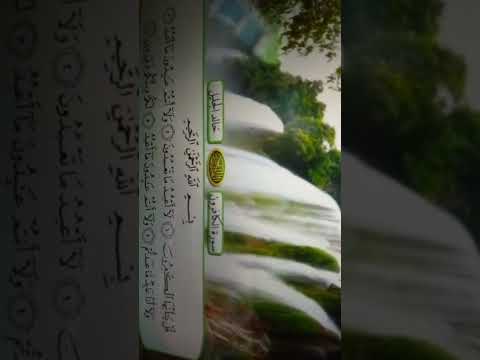 سورة الكافرون الشيخ خالد الجليل