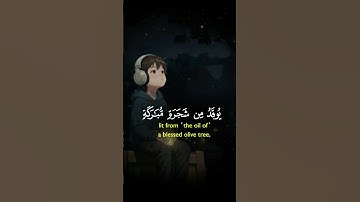 القران الكريم راحة نفسية تلاوة خاشعة حالات واتساب قران كريم تلاوات القران #حالات_واتس_اب#راحة_نفسية