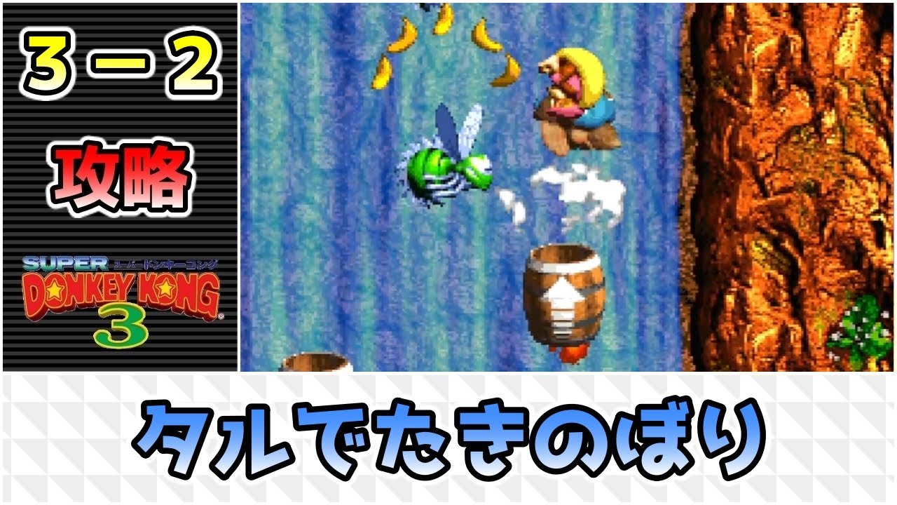 【スーパードンキーコング3】DKコイン・ボーナスコイン・KONGパネル・その他アイテム取得【３－２・タルでたきのぼり】攻略【SFC】