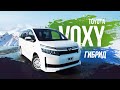 Toyota Voxy (ZWR80) ГИБРИД! Хватает ли большому минивэну 1800сс?  Батарея живая??