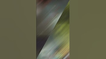 Mirages Decoys - Wingman Tings (1) #shorts #apex #apexlegends #apexclips #apexfunny