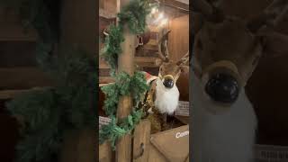 Karm Christmas Store Clinton highway
