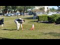 Rocket Project 2016
