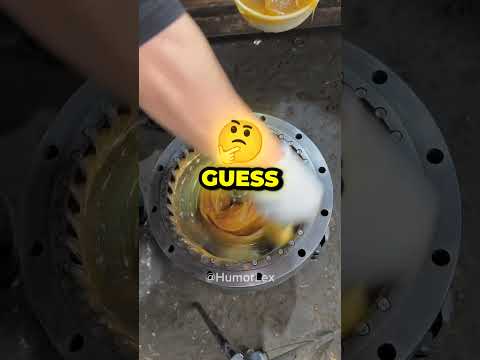 Zoo Visit Goes Wrong Padeeyuhh