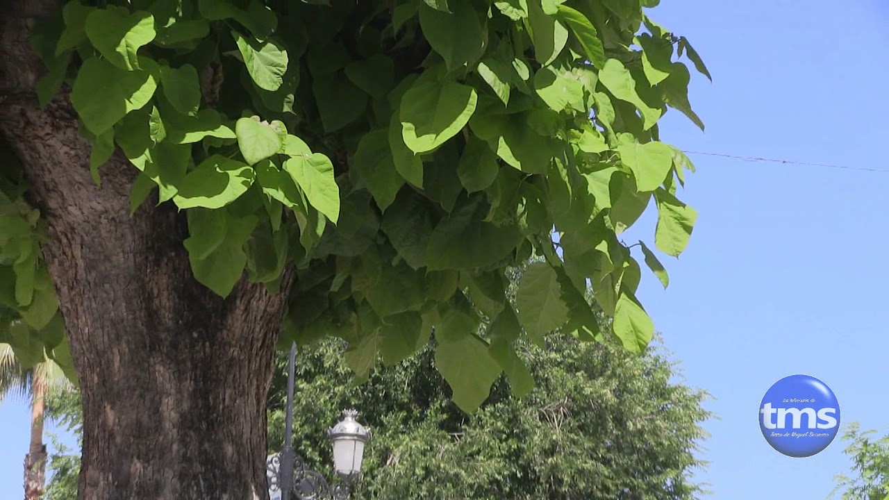 #YoquieroTorredeMiguelSesmero - 3º