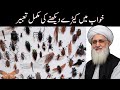 Khwab Mein Keeray Dekhna | Khwab Mein Keeray Makoray Dekhna | Tabeer | Noor-e-Tabeer