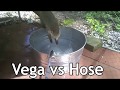 Coatimundi VS Hose