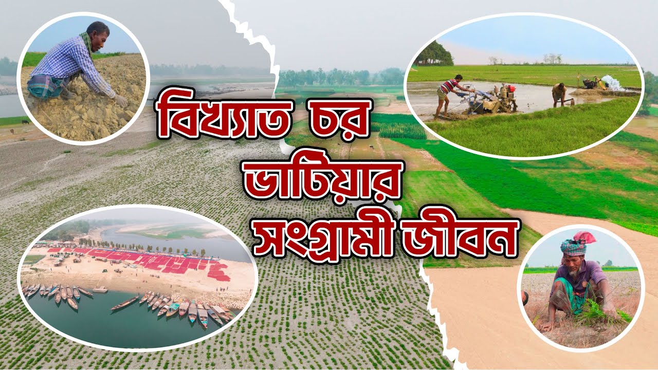 বিখ্যাত চর ভাটিয়ার সংগ্রামী জীবন | চরাঞ্চলের বাস্তব চিত্র