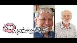 Working Memory 1974 AO3 (Evaluation)