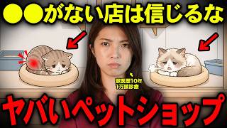 【要注意】こんなペットショップで猫を迎えるのは危険です