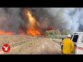 Huge Arizona wildfire '0  contained' after burning nearly 1,000 acres
