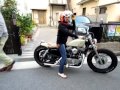 キューティハーレー