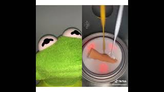 Funny Kermit the frog videos of 2020 (Part 7)